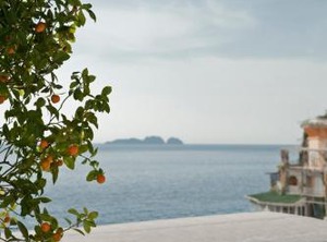 Tartana | Positano City Centre