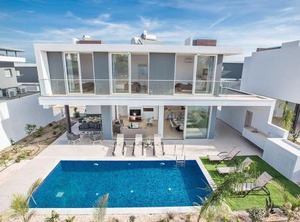 Olive | Protaras
