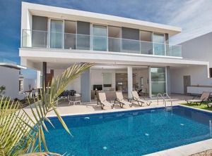 Olive | Protaras