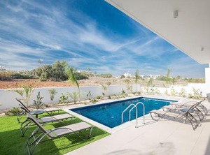 Olive | Protaras