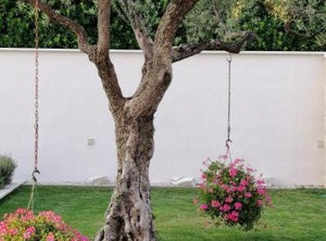 Villa Roza | Valica
