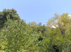 Vololiberoapartments | Borso del Grappa
