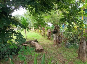 Vongkham Eco Resort | Dongmakkhai
