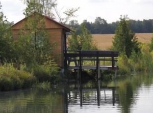 Waterfront Trout | Grey Highlands