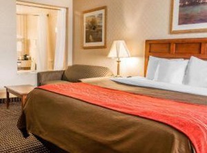 Comfort Inn Utica | Utica