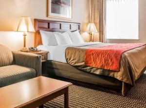Comfort Inn Utica | Utica