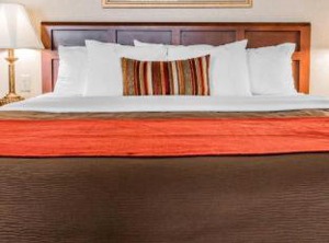 Comfort Inn Utica | Utica