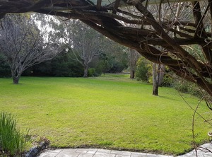 Wisteria Cottage Augusta | Deepdene