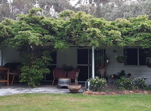 Wisteria Cottage Augusta | Deepdene