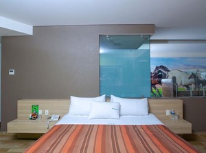 Xcoco Inn | Texcoco
