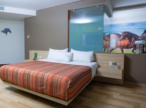 Xcoco Inn | Texcoco
