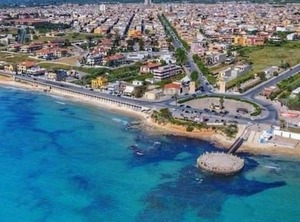 Xenia | Avola