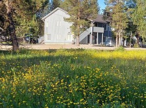 Kanerva | Akaslompolo