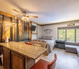 Renovated Slope Ski Slps 