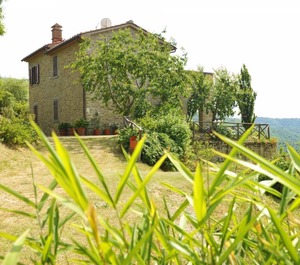 Casetta Ciliegi 
