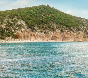 La Vela 