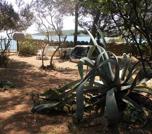 Beach Artatore Lošinj 