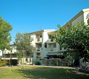 Robinia Pinetine 