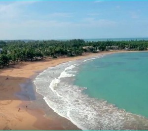 The Beach 
