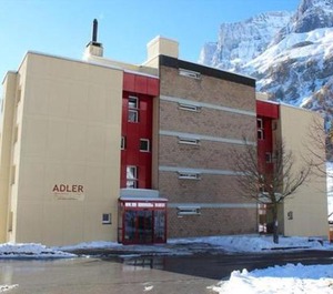 Adler 