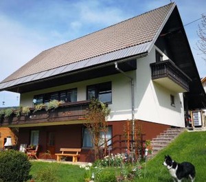 Apartma 