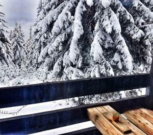 Apartma Rogla Gaber 