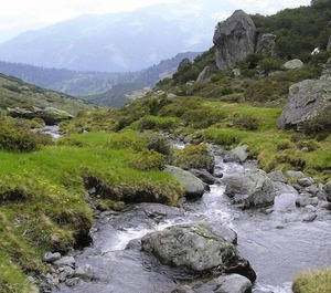 Wildschönau 