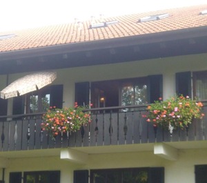 No Type Hörnleblick 