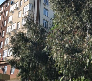 Orbitovskaya 