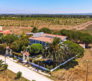 Arrifana Pines Vales 