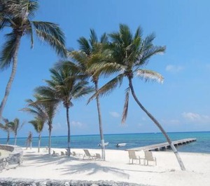 Beach At Villas Pappagallo Blpl 