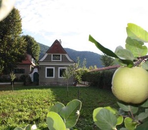 Bioweingut Schmidl 