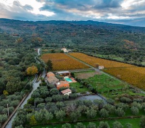 Casa Arrigo 