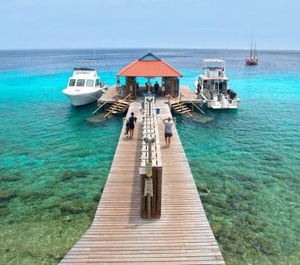 Divi Flamingo Beach Resort 