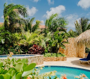 Garden Jacuzzi 