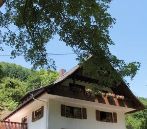 Ferienhof Männle Gengenbach Lhs 