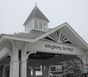 Allegheny Springs 