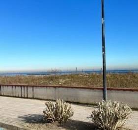 Mare E Pineta Lido Di Spina 