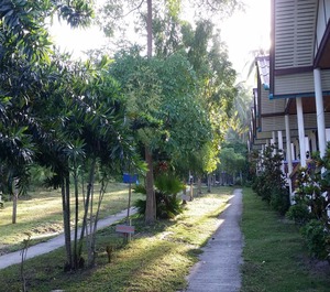 Bungalow 