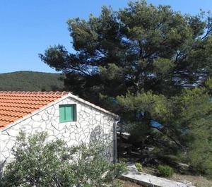 Holiday Maslinica Persons Bedrooms 