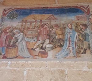 Il Nido E 