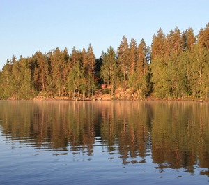 Timber Villa Scenery Nature 