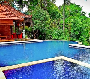 Lotus Guesthouse Place The North Bali 