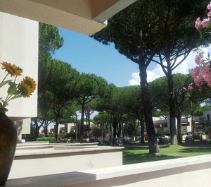 Maremma Pines Sea 