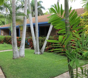 Shores 
