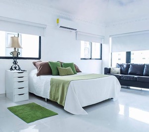 Malecon Cozy Premium Plus 