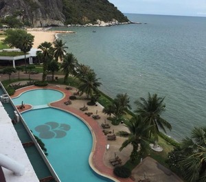 Milford Paradise 