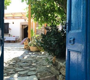 Mylopetra 