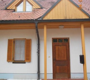Nagelj 