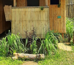 Banana Grove Backpackers Inn El Nido 
